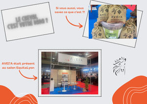 Recrutement d'un(e) Alternant(e) en Comptabilité (DCG / DSCG / MASTER CCA) ayant une appétence pour le domaine équestre