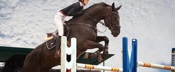 Expert-comptable équestre agriculteur Nancy, Thionville, Lunéville